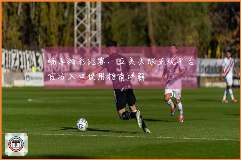 畅享精彩比赛，亚美买球正规平台官方入口使用指南详解