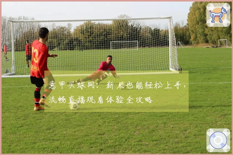 意甲买球网：新人也能轻松上手，流畅直播观看体验全攻略