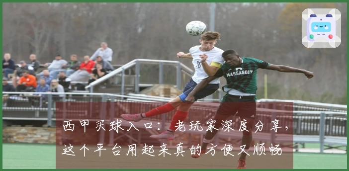 西甲买球入口：老玩家深度分享，这个平台用起来真的方便又顺畅