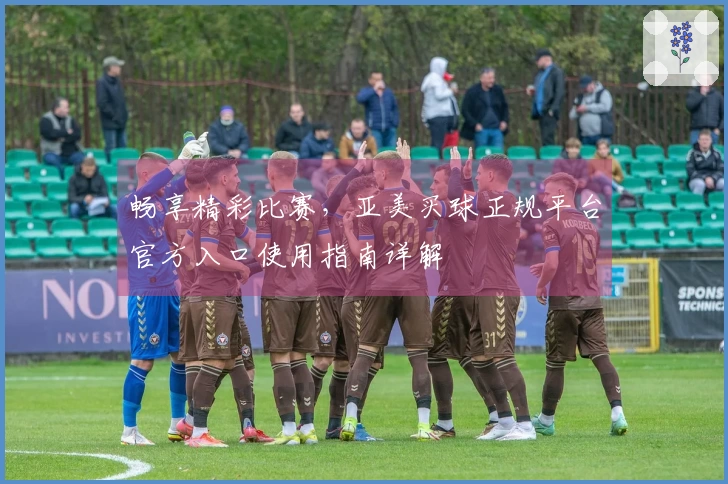 畅享精彩比赛，亚美买球正规平台官方入口使用指南详解