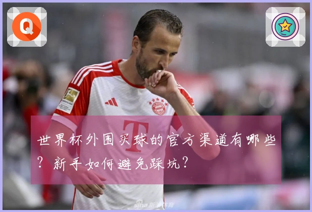 世界杯外围买球的官方渠道有哪些？新手如何避免踩坑？