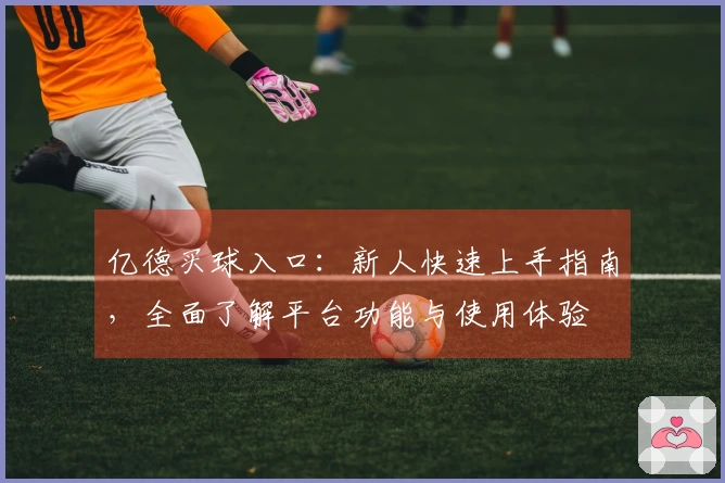 亿德买球入口：新人快速上手指南，全面了解平台功能与使用体验